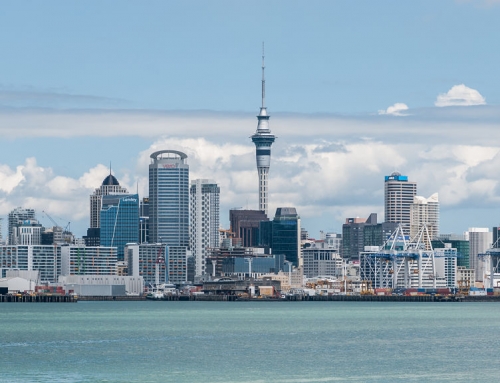 The mythical, magical organic beauty of Auckland